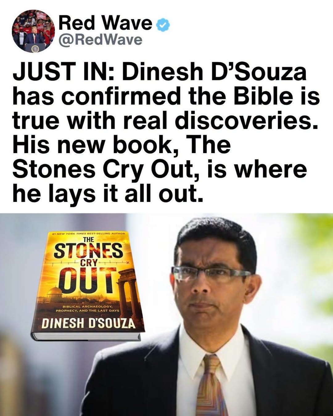 Dinesh D’Souza Prepares to Unveil the Evidence in Upcoming Book Amid Red Wave Momentum