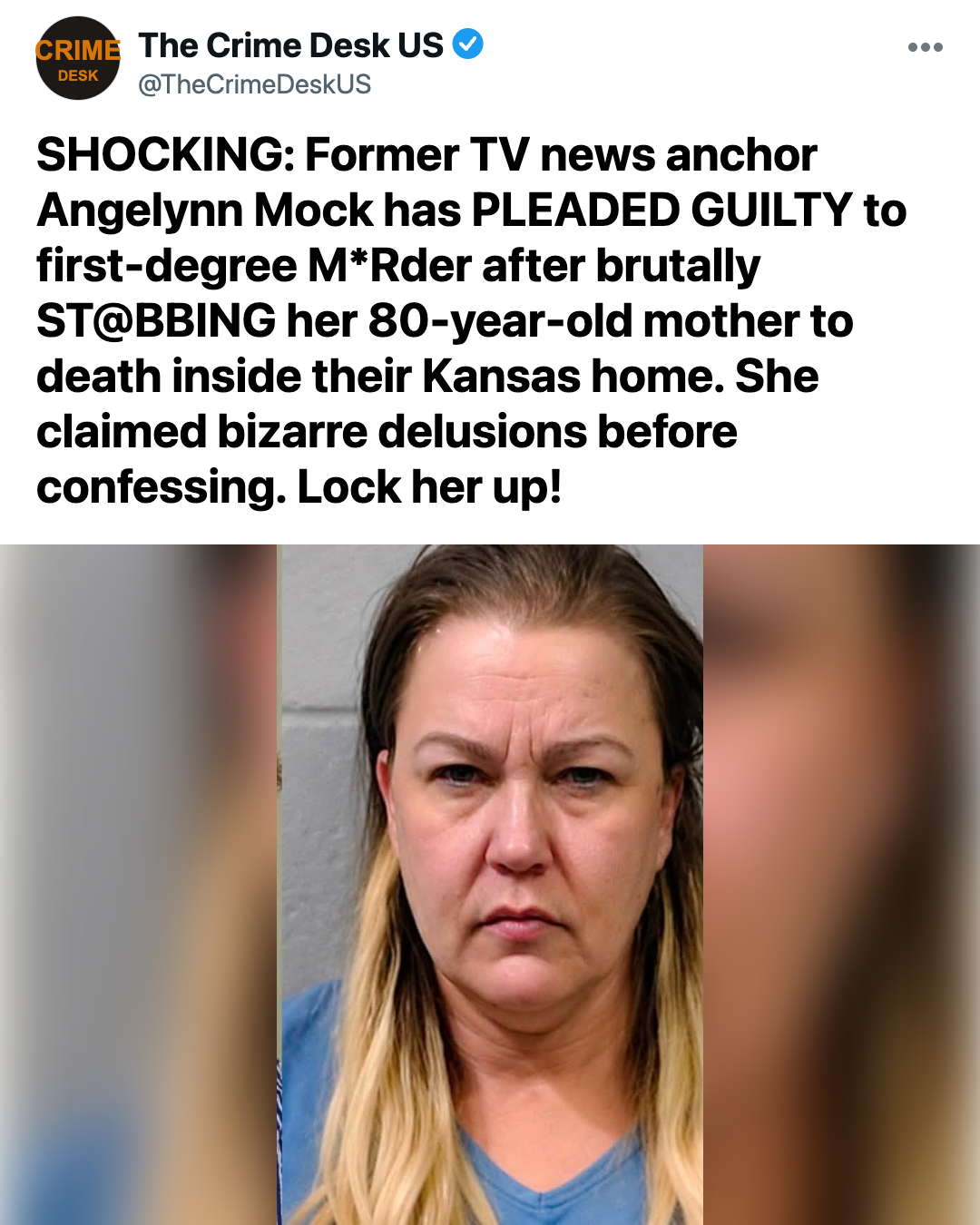 Former TV News Anchor Pleads Guilty in Mother's Brutal Blade Attack After Chilling Claims of Hallucinatory Confrontation