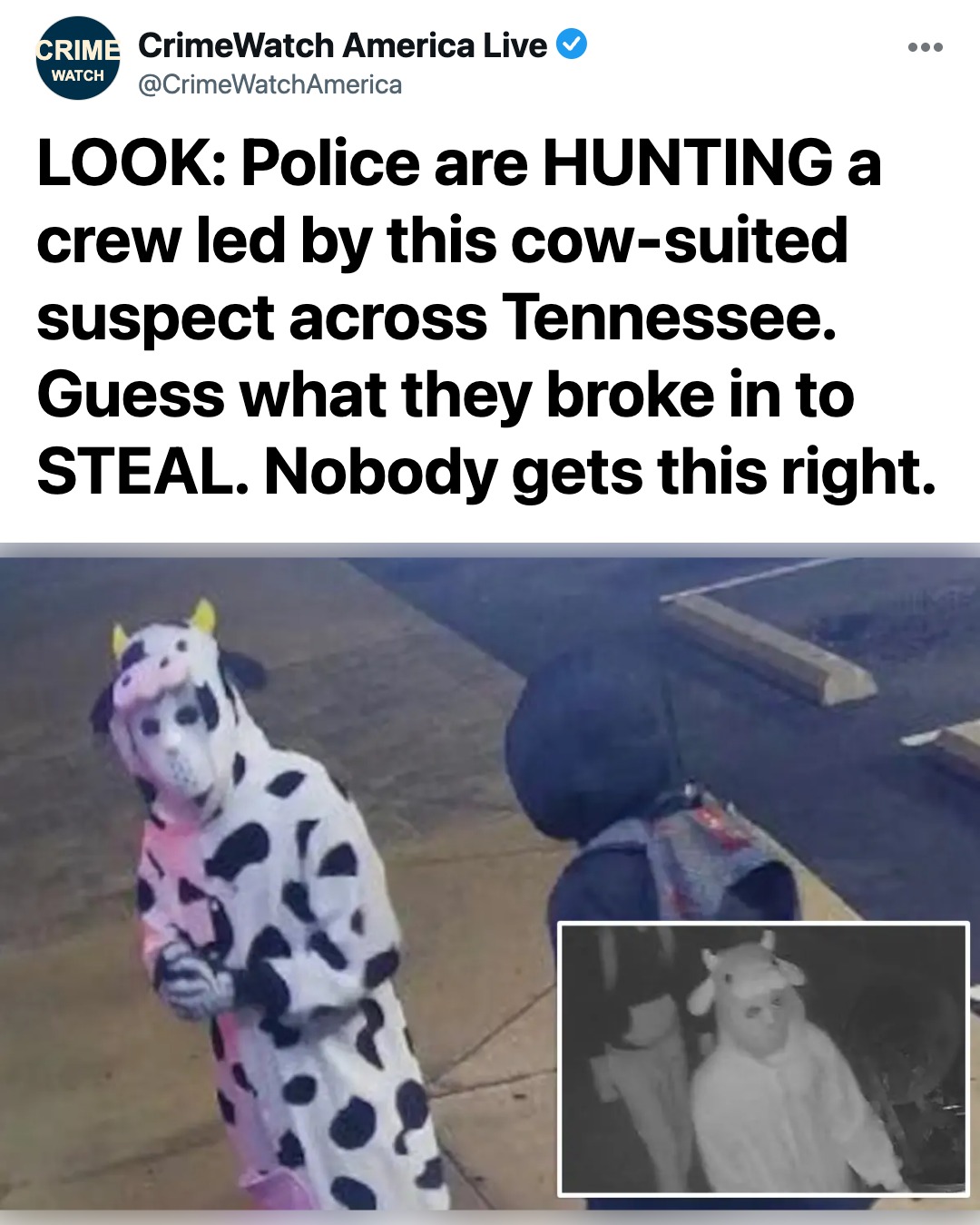 Udderly Despicable: Tennessee Burglar in Ridiculous Cow Onesie Hits Smoke Shop for Vapes in Brazen Midnight Heist