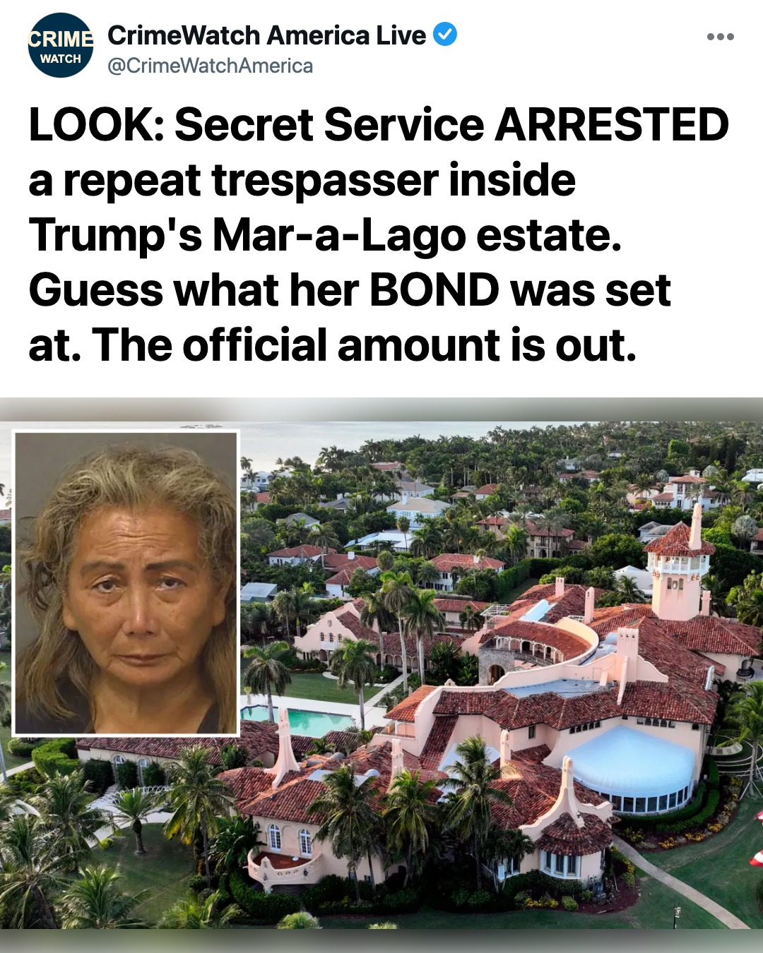 Security Breach at Mar-a-Lago: Homeless Repeat Offender Busted Wandering Trump Estate With a Utility Cart