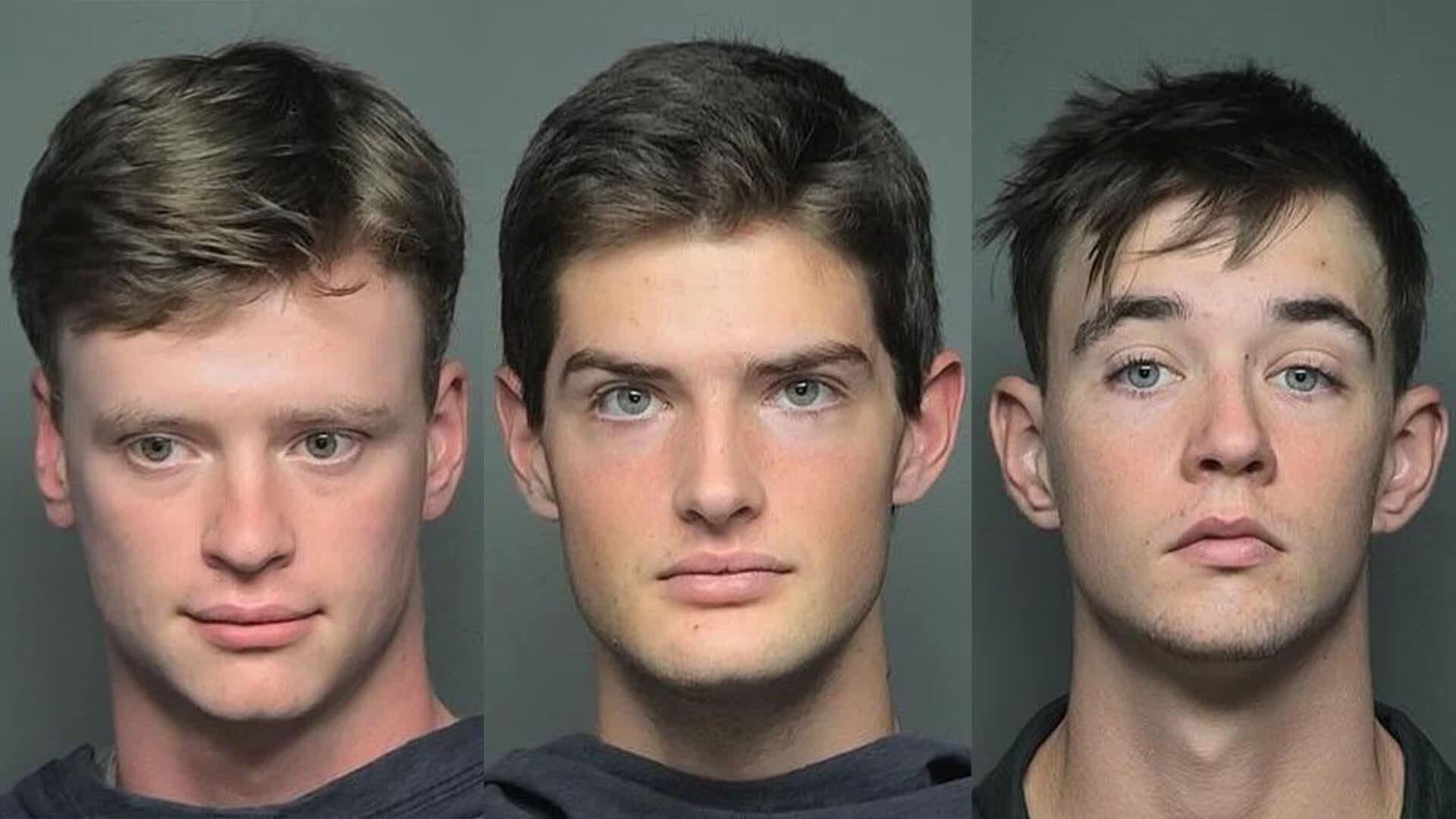 Three South Carolina Teens Accused of Cutting Down Flock Camera and Striking It With Hammer