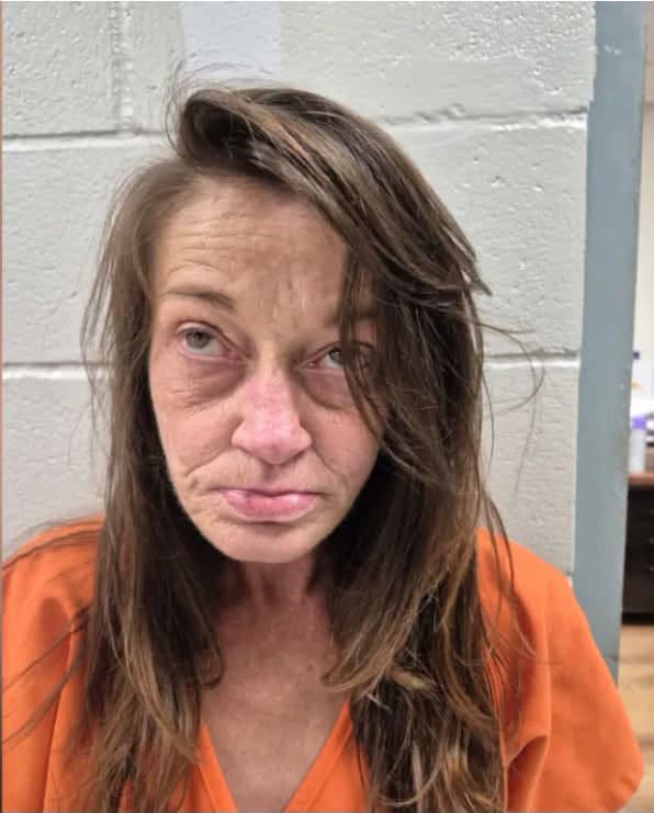 Seven arrested in Alabama drug sweep including pair accused of chemically endangering child: deputies