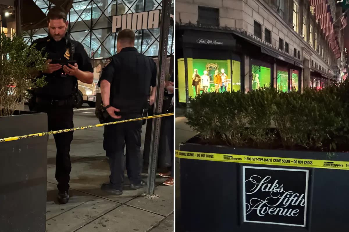 21-Year-Old Man Stabbed Near St. Patrick's Cathedral and Saks Fifth Avenue as Assailant Flees in BMW, Police Say