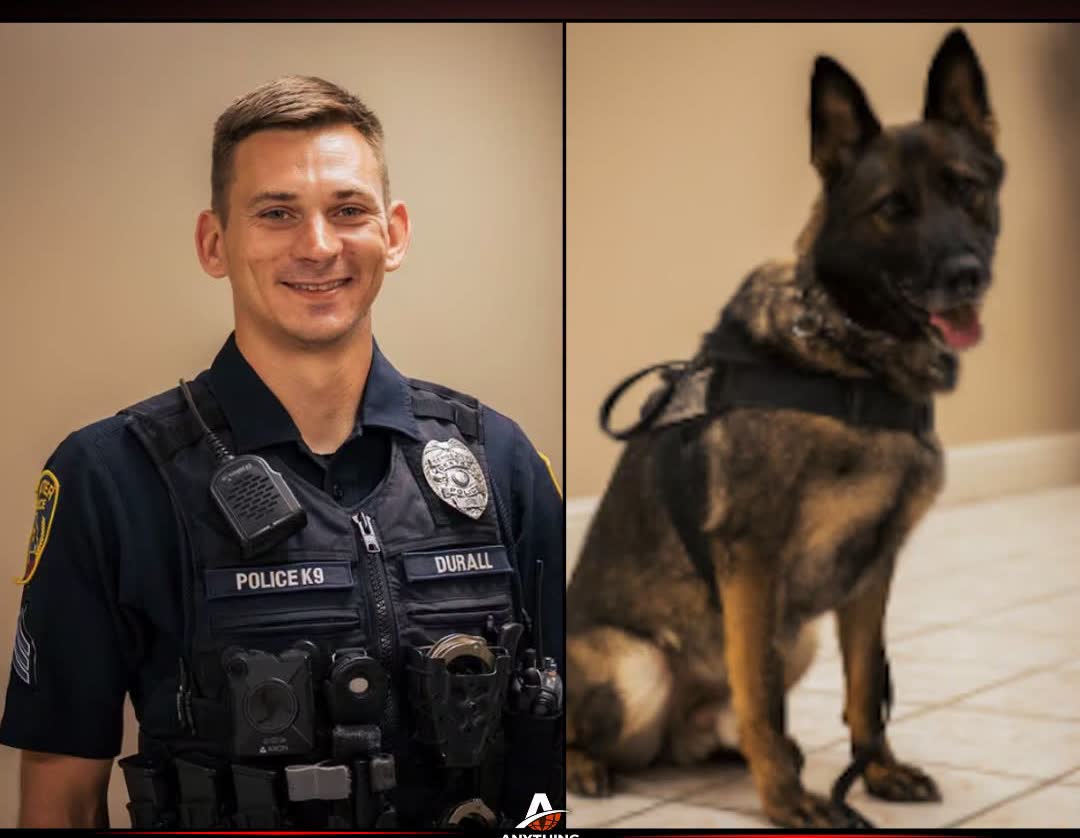 Former Missouri Police K-9 Handler Sentenced to Jail After One Dog Dies and Another Is Injured