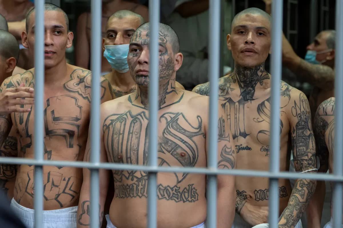 Federal judge frees convicted MS-13 killer David Antonio Aviles Perez: 'We should all feel scandalized by that'