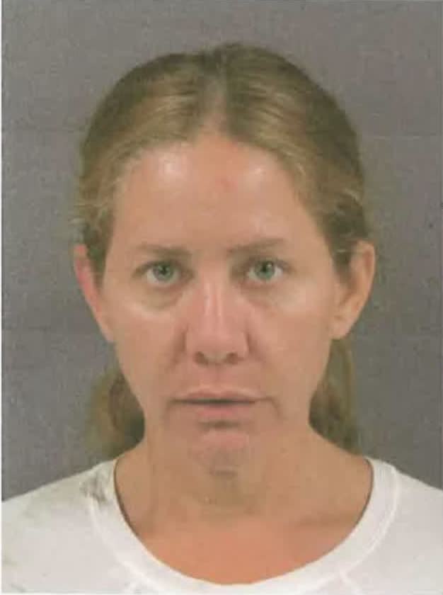 Rock Falls Woman Allegedly Attempted Carjacking With Child Inside After Removing GPS Monitor