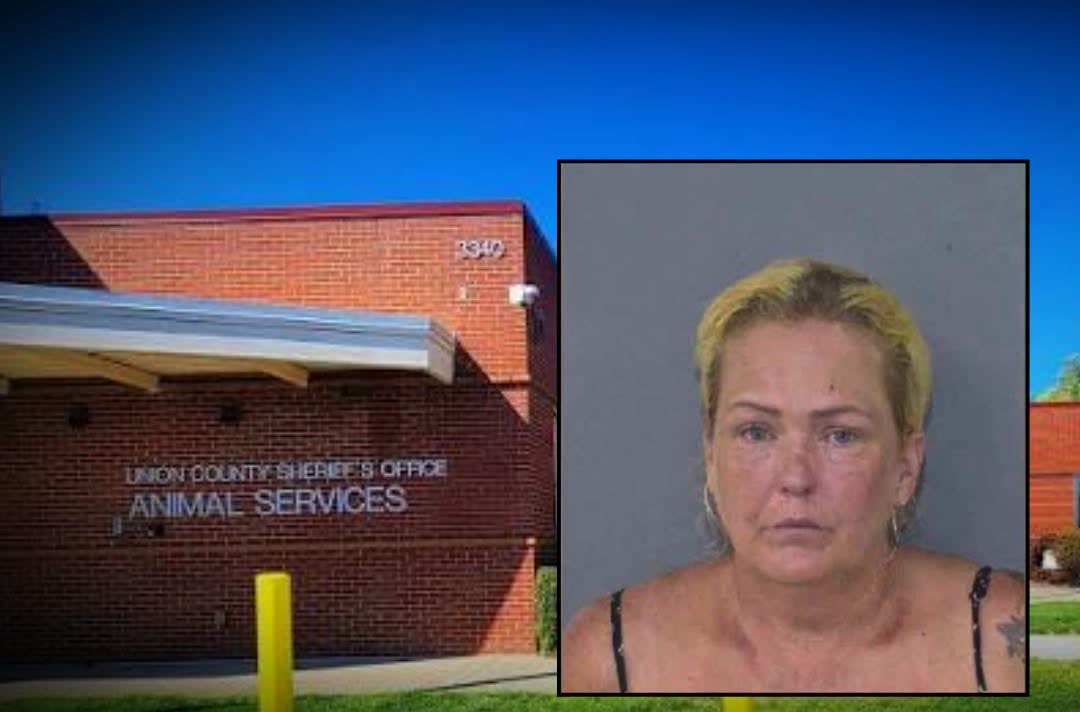 Bizarre question asked by Dedra McManus accused of leaving 8-month-old in 96-degree car for kittens