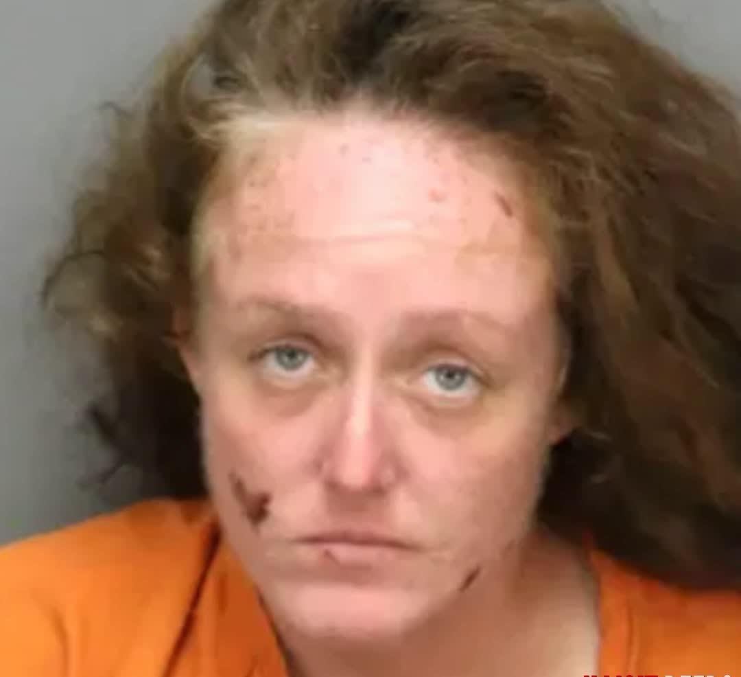 Chilling details emerge after Eleanor Crawford allegedly torched Florida driver pumping gas over cash refusal