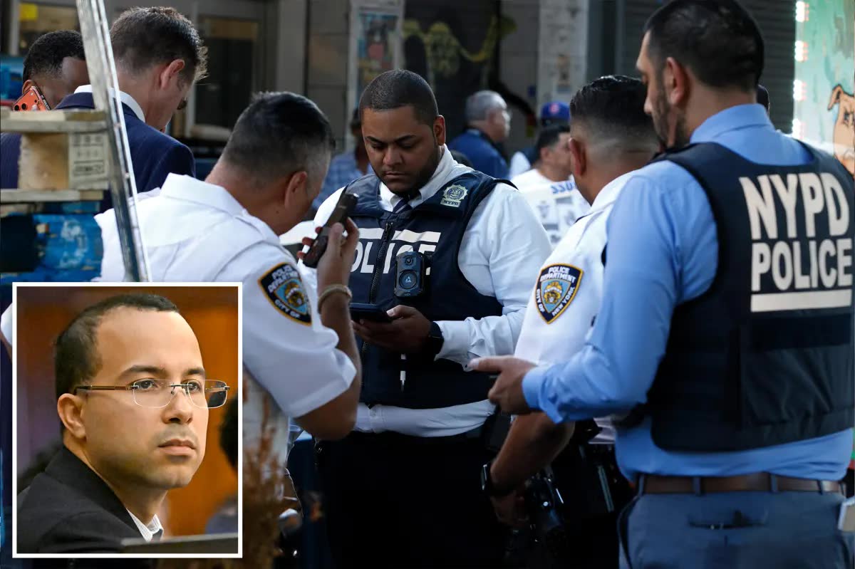 NYC lawmakers probing a 25% felony surge since 2019 grill NYPD brass over claims cops refuse crime reports