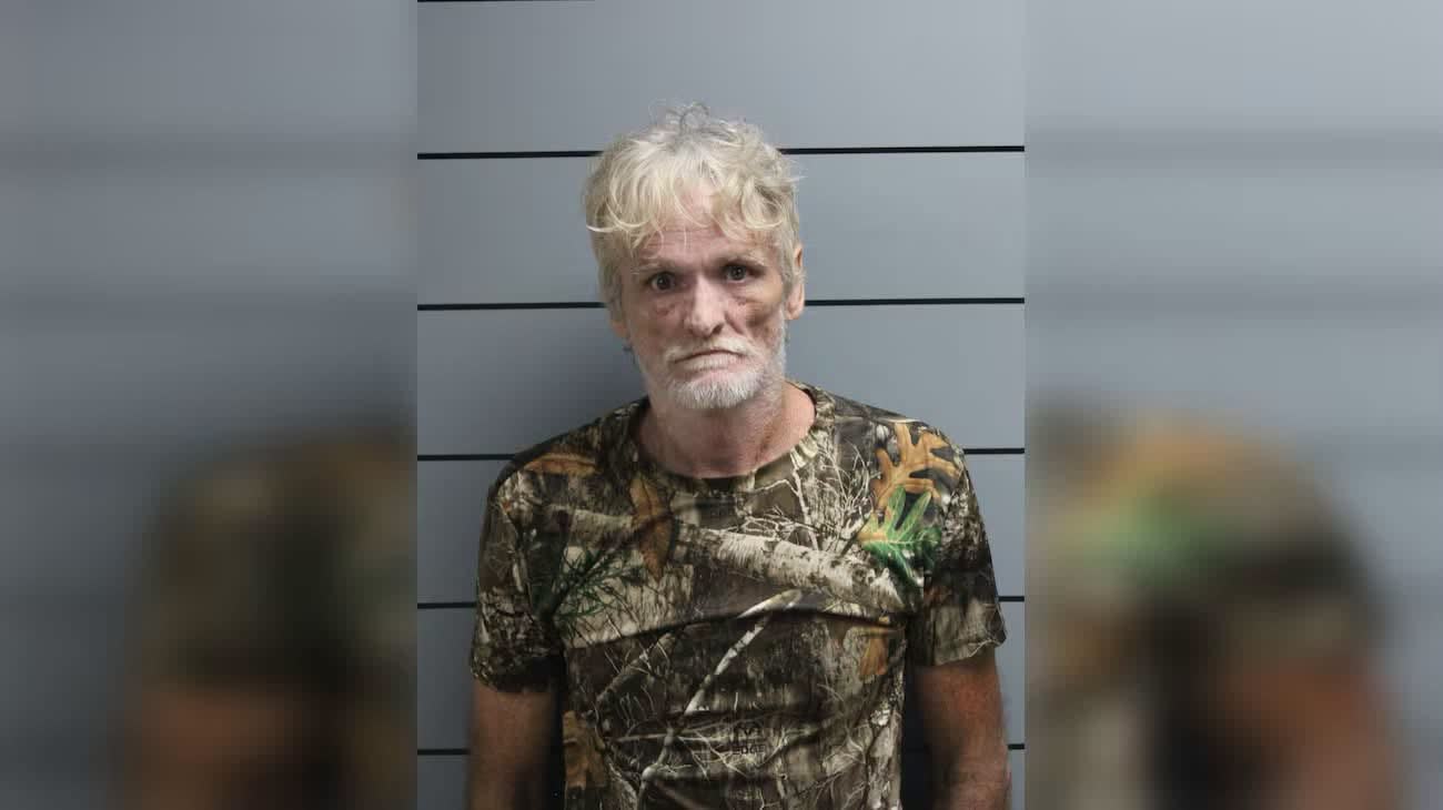 Indiana deputies arrest Jamie Harrison, 56, found asleep in car parked in middle of road — after K-9 allegedly finds methamphetamine