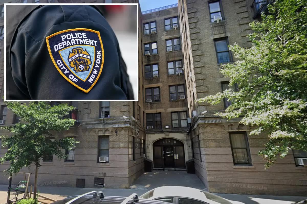 NYPD officer Luis Triunfel allegedly stole a $50,000 safe from his Bronx pal — then searched police databases for his own name