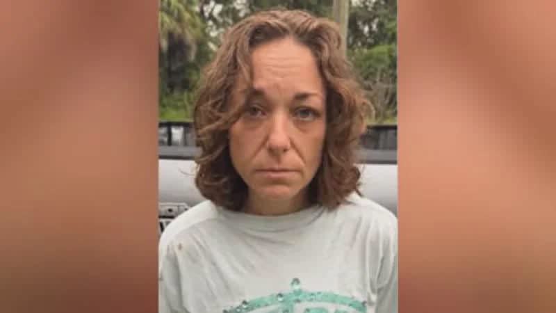 Florida convict Brigette Williams was jailed for allegedly stealing an $800 security camera — which recorded her before she took it