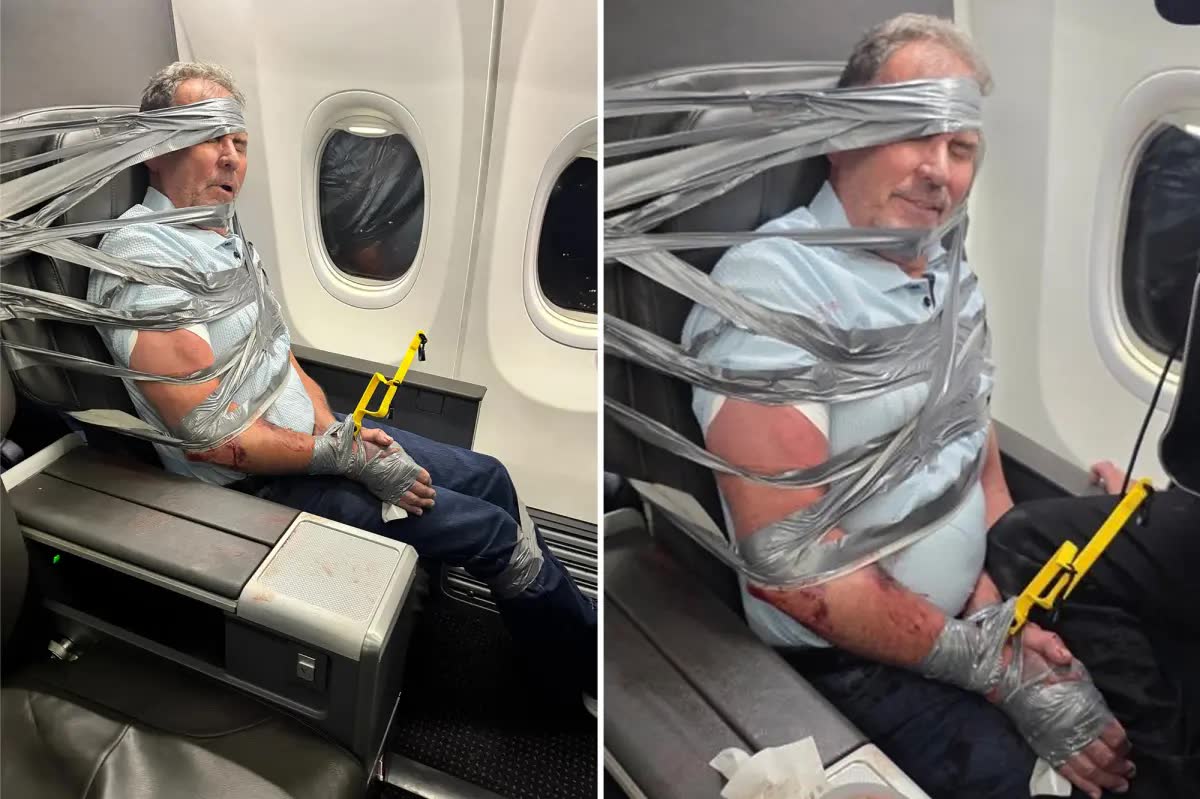 Duct-taped passenger Layne Lundeen blamed American Airlines tirade on two screwdrivers — then allegedly struck cop dragging him off